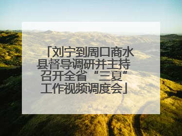 刘宁到周口商水县督导调研并主持召开全省“三夏”工作视频调度会