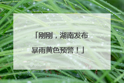 刚刚，湖南发布暴雨黄色预警！