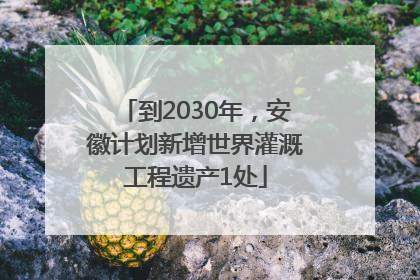 到2030年，安徽计划新增世界灌溉工程遗产1处
