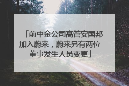前中金公司高管安国邦加入蔚来，蔚来另有两位董事发生人员变更