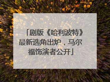 剧版《哈利波特》最新选角出炉，马尔福饰演者公开