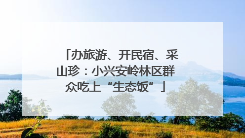 办旅游、开民宿、采山珍：小兴安岭林区群众吃上“生态饭”