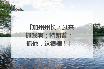 加州州长：过来抓我啊；特朗普：抓他，这很棒！