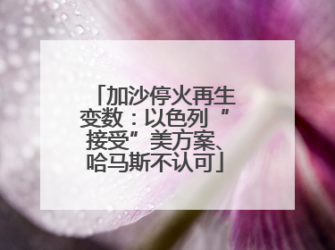 加沙停火再生变数：以色列“接受”美方案、哈马斯不认可