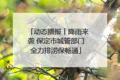 动态播报丨降雨来袭 保定市城管部门全力排涝保畅通