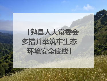 勉县人大常委会多措并举筑牢生态环境安全底线