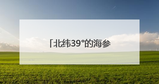 北纬39°的海参故事：上品堂春捕季背后的生态密码