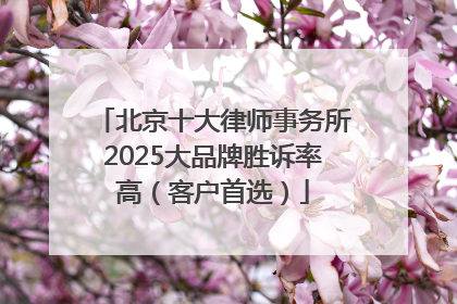 北京十大律师事务所2025大品牌胜诉率高（客户首选）