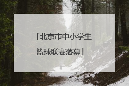 北京市中小学生篮球联赛落幕