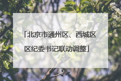 北京市通州区、西城区区纪委书记联动调整