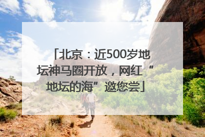 北京：近500岁地坛神马圈开放，网红“地坛的海”邀您尝