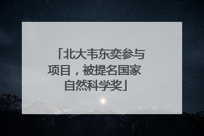 北大韦东奕参与项目，被提名国家自然科学奖