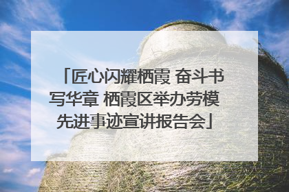 匠心闪耀栖霞 奋斗书写华章 栖霞区举办劳模先进事迹宣讲报告会