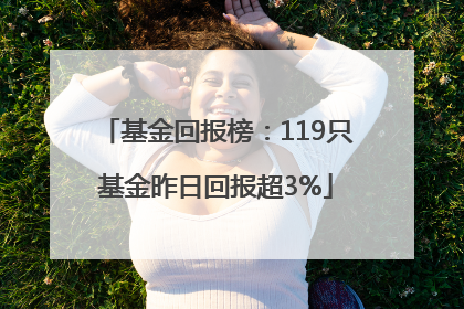 基金回报榜：119只基金昨日回报超3%