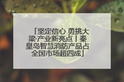 坚定信心 勇挑大梁·产业新亮点丨秦皇岛智慧消防产品占全国市场超四成
