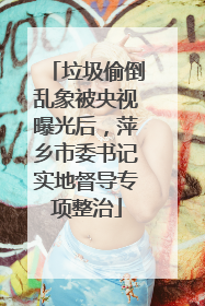 垃圾偷倒乱象被央视曝光后，萍乡市委书记实地督导专项整治