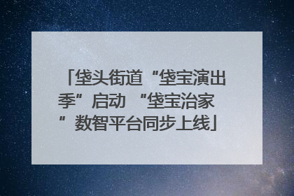 垡头街道“垡宝演出季”启动 “垡宝治家”数智平台同步上线