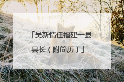 吴新情任福建一县县长（附简历）