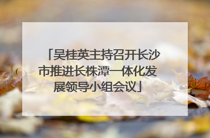 吴桂英主持召开长沙市推进长株潭一体化发展领导小组会议