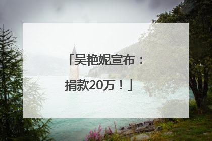 吴艳妮宣布：捐款20万！