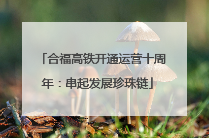 合福高铁开通运营十周年：串起发展珍珠链