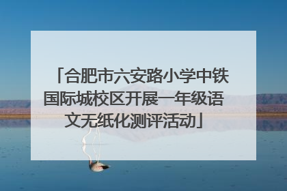 合肥市六安路小学中铁国际城校区开展一年级语文无纸化测评活动