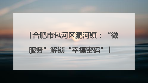 合肥市包河区淝河镇：“微服务”解锁“幸福密码”