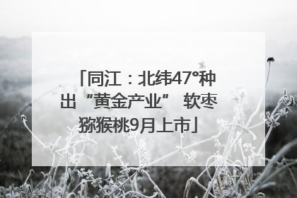 同江：北纬47°种出“黄金产业” 软枣猕猴桃9月上市