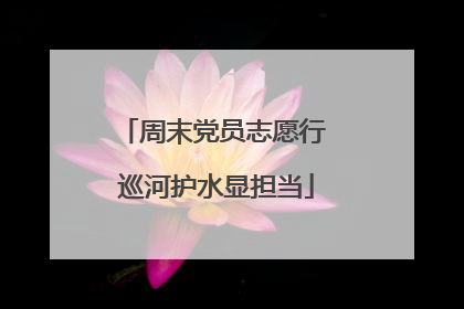 周末党员志愿行 巡河护水显担当