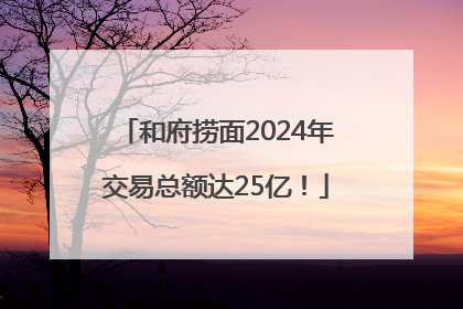 和府捞面2024年交易总额达25亿！