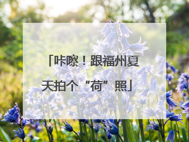 咔嚓！跟福州夏天拍个“荷”照