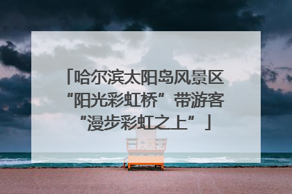 哈尔滨太阳岛风景区“阳光彩虹桥”带游客“漫步彩虹之上”