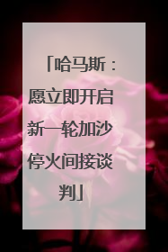 哈马斯：愿立即开启新一轮加沙停火间接谈判