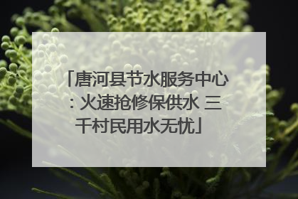 唐河县节水服务中心：火速抢修保供水 三千村民用水无忧