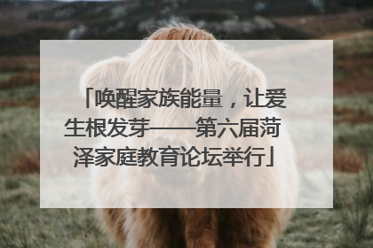 唤醒家族能量，让爱生根发芽——第六届菏泽家庭教育论坛举行