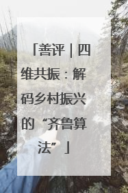 善评｜四维共振：解码乡村振兴的“齐鲁算法”