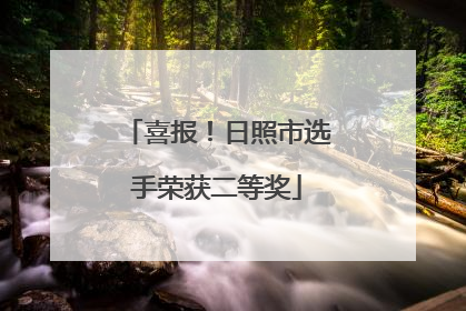 喜报！日照市选手荣获二等奖