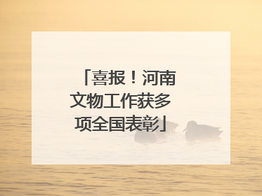 喜报！河南文物工作获多项全国表彰