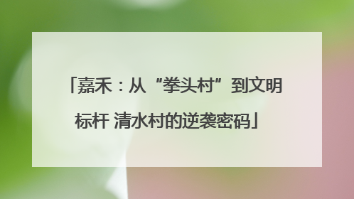 嘉禾：从“拳头村”到文明标杆 清水村的逆袭密码