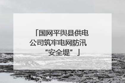 国网平舆县供电公司筑牢电网防汛“安全堤”