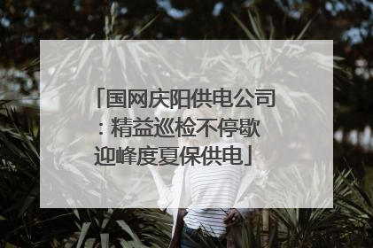 国网庆阳供电公司：精益巡检不停歇 迎峰度夏保供电