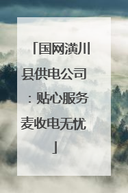 国网潢川县供电公司：贴心服务麦收电无忧