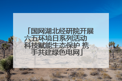国网湖北经研院开展六五环境日系列活动 科技赋能生态保护 携手共建绿色电网