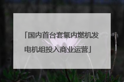 国内首台套氢内燃机发电机组投入商业运营