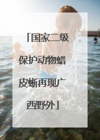 国家二级保护动物蜡皮蜥再现广西野外