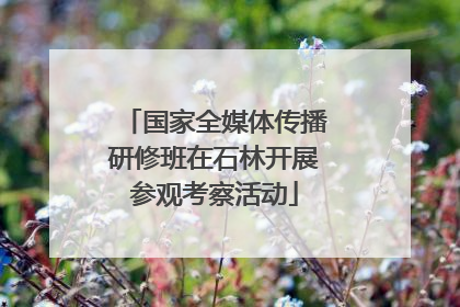 国家全媒体传播研修班在石林开展参观考察活动