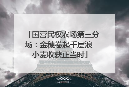 国营民权农场第三分场：金穗卷起千层浪 小麦收获正当时