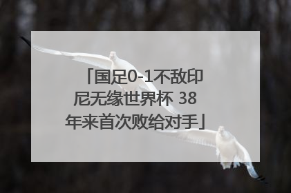 国足0-1不敌印尼无缘世界杯 38年来首次败给对手
