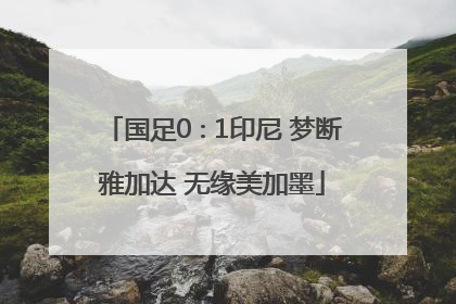 国足0∶1印尼 梦断雅加达 无缘美加墨
