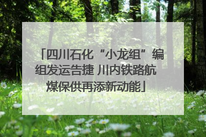 四川石化“小龙组”编组发运告捷 川内铁路航煤保供再添新动能
